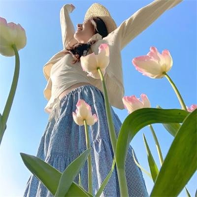 山有木兮木有枝